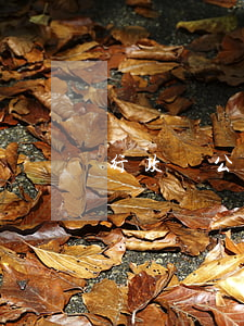 行政參公是什么意思