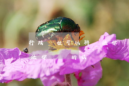 行政單位可以聘請法律顧問嗎(政府部門聘請法律顧問的收費)