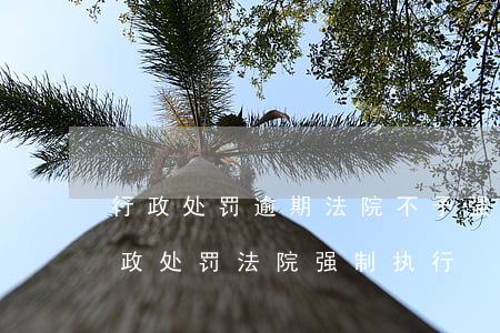 行政处罚逾期法院不予强制执行(拒不执行行政处罚法院强制执行)