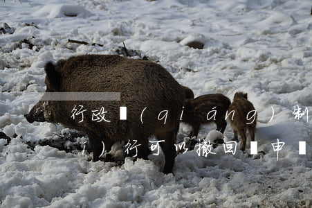 行政強(qiáng)制申請法院執(zhí)行可以撤回嗎(申請了法院強(qiáng)制執(zhí)行可以撤銷嗎)