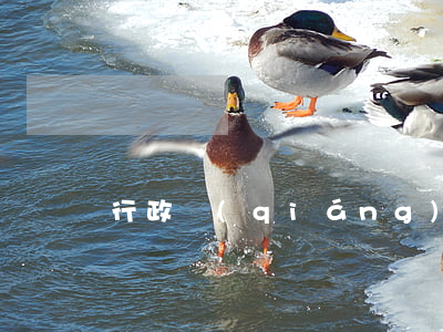 行政強(qiáng)制程序違法怎么辦