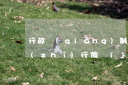 行政強(qiáng)制終結(jié)執(zhí)行依據(jù)是什么