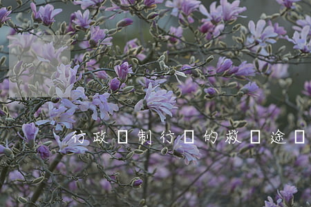 行政強制行為的救濟途徑有哪些