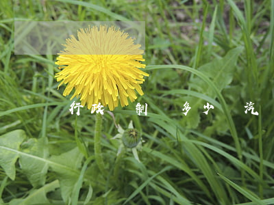 行政強制險多少錢(汽車強制險多少錢)