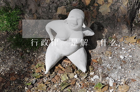 行政律師是解決什么糾紛(行政案件可以找律師嗎)