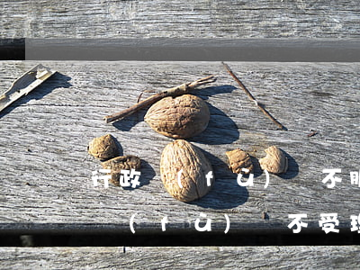 行政復(fù)議不服可以提起訴訟嗎(行政復(fù)議不受理 可以提起行政訴訟嗎)