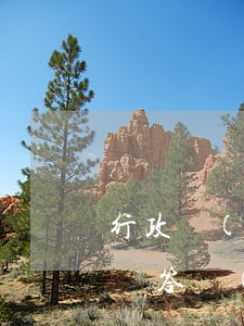 行政復(fù)議受理后多長時(shí)間答復(fù)