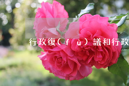 行政復(fù)議和行政訴訟的區(qū)別