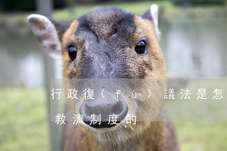 行政復(fù)議法是怎樣規(guī)定救濟制度的
