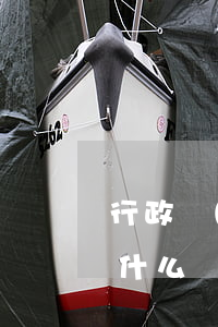 行政復(fù)議申請(qǐng)要注意什么