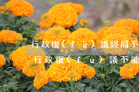 行政復(fù)議終局不可以寫訴訟嗎(只能行政復(fù)議不能行政訴訟的情況)
