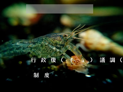 行政復(fù)議調(diào)解有哪些制度
