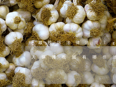 行政投訴法律法規(guī)(對實名舉報人保護我國有哪些法律法規(guī)規(guī)定)