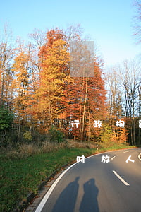 行政拘留7天几点放人(行政拘留时间到了啥时放人)