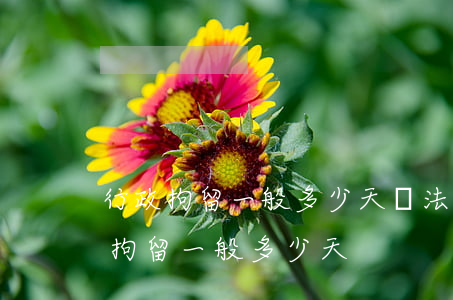 行政拘留一般多少天(違法行醫(yī)行政拘留一般多少天)