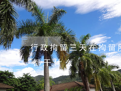 行政拘留三天在拘留所都干什么(拘留所3天都干什么)