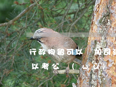 行政拘留可以參加司法考試嗎(行政拘留后可以考公務(wù)員嗎)