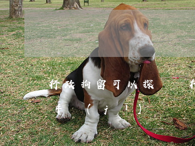行政拘留可以探視嗎(行政拘留可以探視嗎 帶手機(jī))