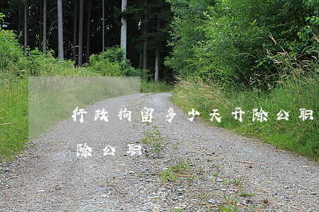 行政拘留多少天开除公职(行政拘留多少天开除公职)