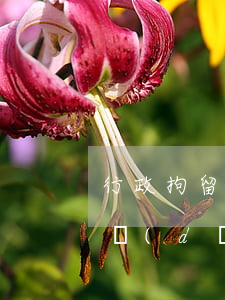 行政拘留導(dǎo)致信用卡逾期(因拘留導(dǎo)致信用卡逾期)