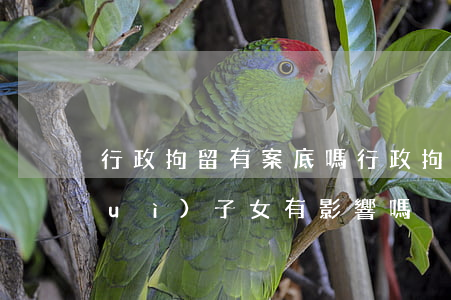 行政拘留有案底嗎(行政拘留有案底嗎對(duì)子女有影響嗎)