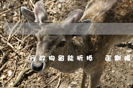 行政拘留能折抵矯正期限嗎