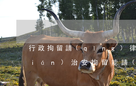 行政拘留請(qǐng)律師要多少錢(qián)(治安拘留能請(qǐng)律師嗎)