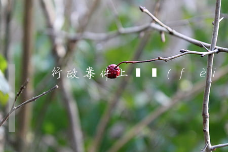 行政案件上訴費(fèi)規(guī)定