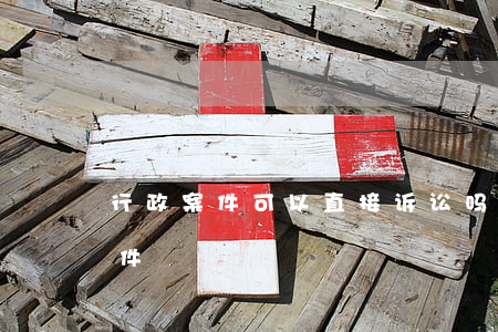 行政案件可以直接诉讼吗(什么是行政诉讼案件)