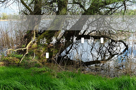 行政案件律師收費(fèi)標(biāo)準(zhǔn)(行政案件律師費(fèi)多少錢(qián))