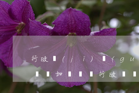 行政機(jī)關(guān)可以委托律師參加訴訟嗎(行政訴訟期間被告行政機(jī)關(guān)委托的律師)