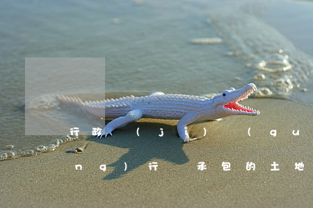 行政機(jī)關(guān)強(qiáng)行將承包的土地轉(zhuǎn)包他人造成損失,怎樣索償