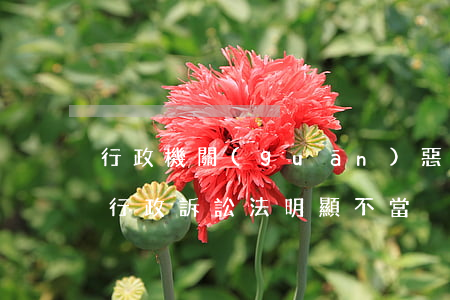 行政機關(guān)惡意訴訟可以反訴嗎(行政訴訟法明顯不當)