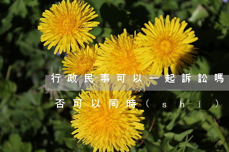 行政民事可以一起訴訟嗎(行政訴訟和民事是否可以同時(shí)進(jìn)行?)