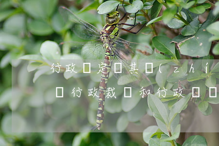 行政決定與其執(zhí)行可以分開訴訟嗎(行政裁決和行政訴訟的區(qū)別)