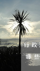 行政法律法规讲座内容(法律法规讲座包括哪些内容)