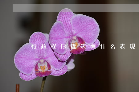 行政程序違法有什么表現(xiàn)