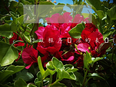 行政程序違法的表現(xiàn)是什么