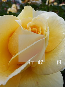 行政給付的對象