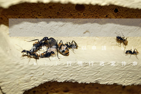 行政處理可以申請(qǐng)法院執(zhí)行嗎(行政案件申請(qǐng)法院強(qiáng)制執(zhí)行)