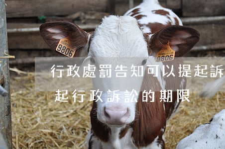 行政處罰告知可以提起訴訟嗎(對行政處罰提起行政訴訟的期限)