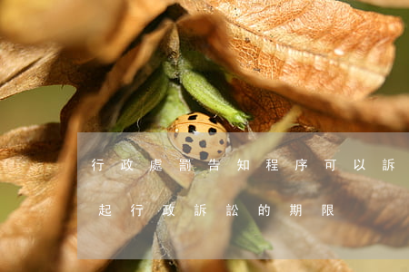 行政處罰告知程序可以訴訟嗎(對行政處罰提起行政訴訟的期限)