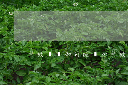 行政處罰和行政處分(行政處罰和行政處分)
