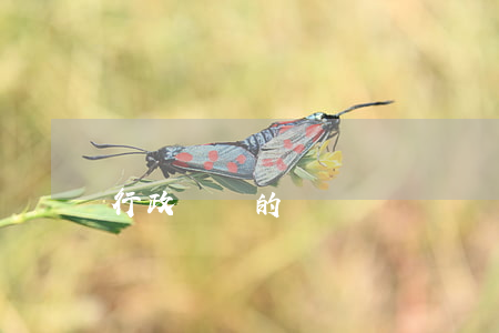 行政處罰的種類