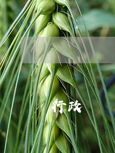 行政處罰辦結后多長時間立卷