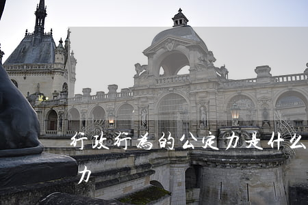 行政行为的公定力是什么意思,行政行为的效力