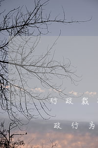 行政裁决可以提起行政诉讼吗(可以起诉的行政行为)