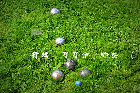 行政許可可分為哪些類(lèi)