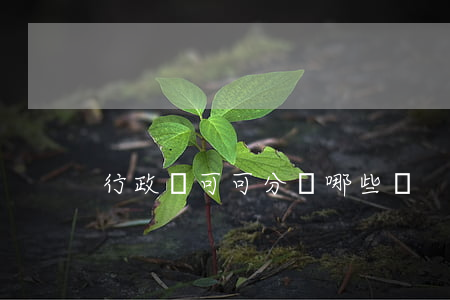 行政許可可分為哪些類