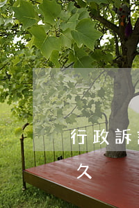 行政訴訟一般要打多久(行政訴訟一般要打多久)